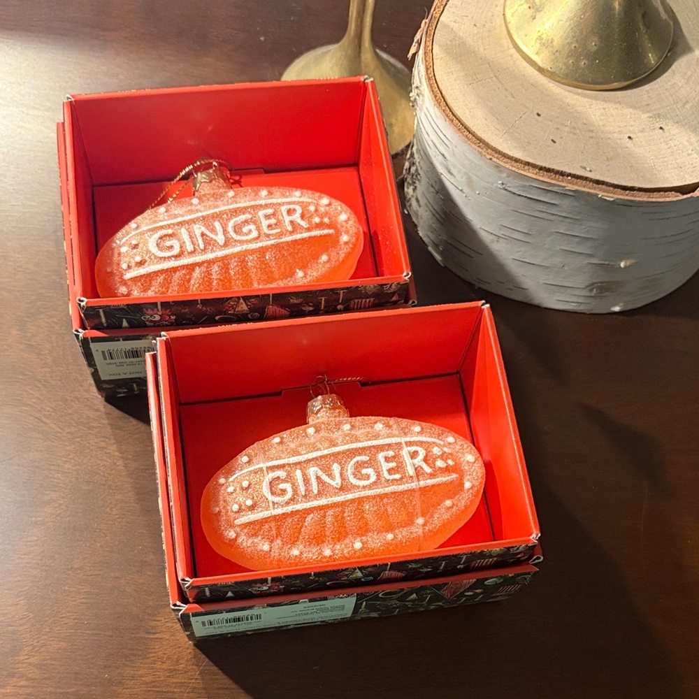 Set of 2 John Derian for Target Ginger Ornaments